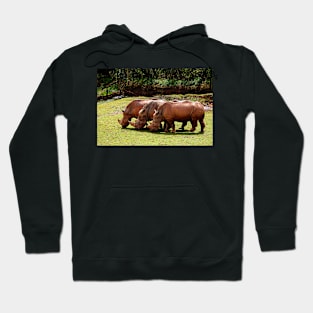 Grazing Time Hoodie